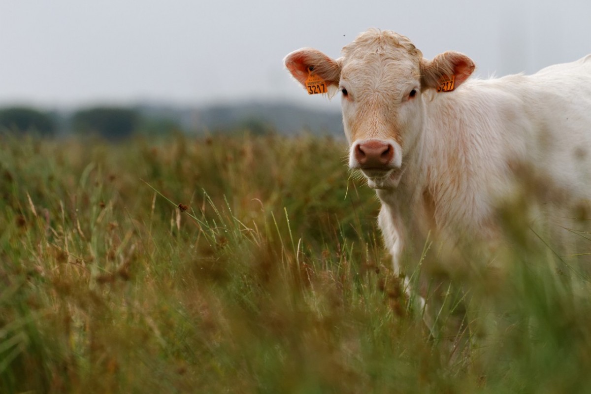 Le Projet Alimentaire Territorial