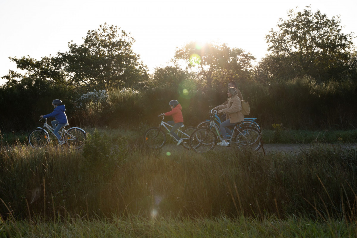 Les dispositifs d'accompagnement
