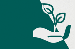 Aides France Relance pour la transition écologique