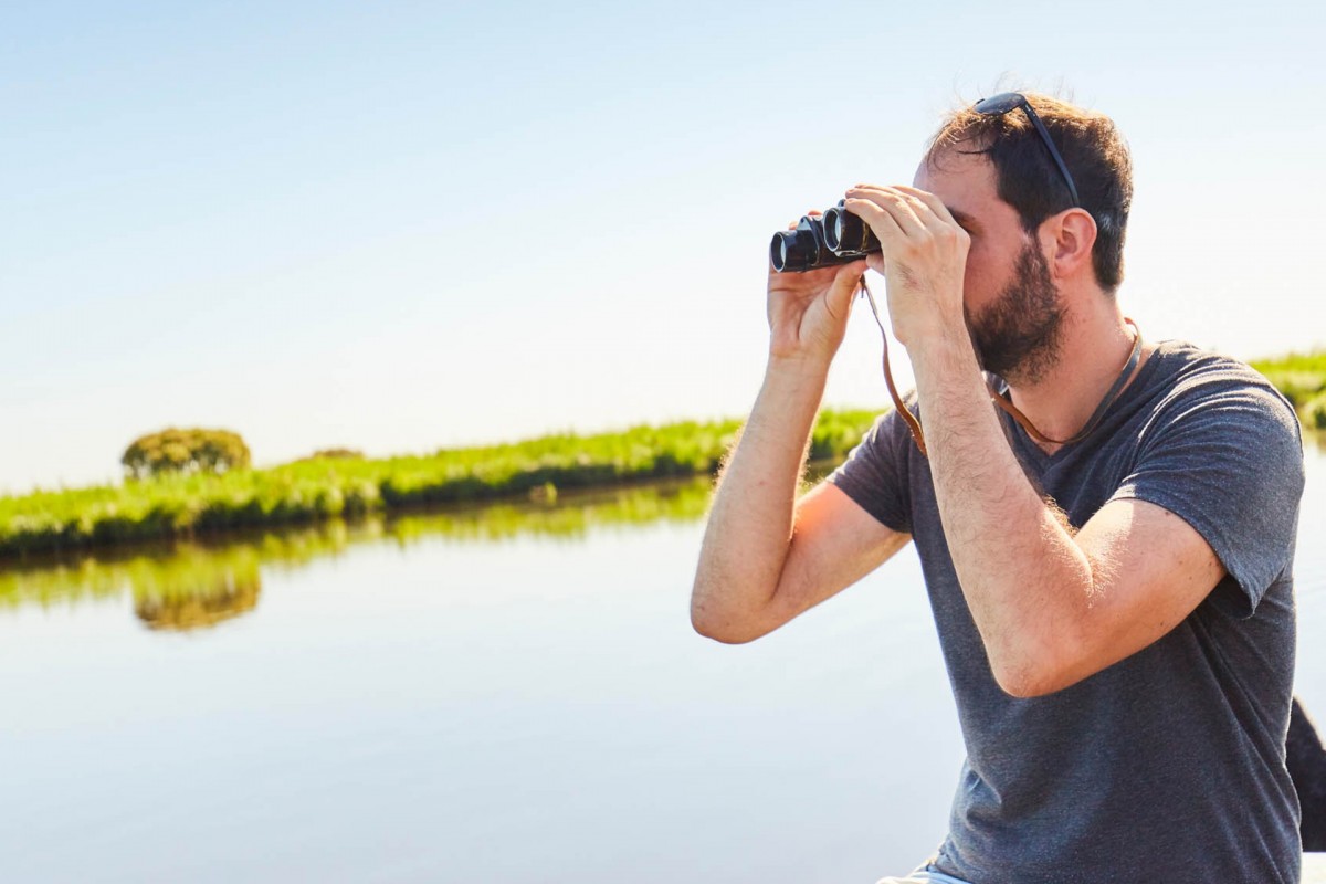 Observer et analyser