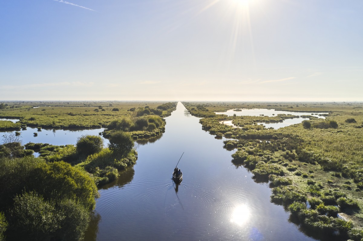Marais de Brière
